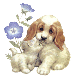 Pour cette fin de semaine